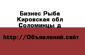 Бизнес Рыба. Кировская обл.,Соломинцы д.